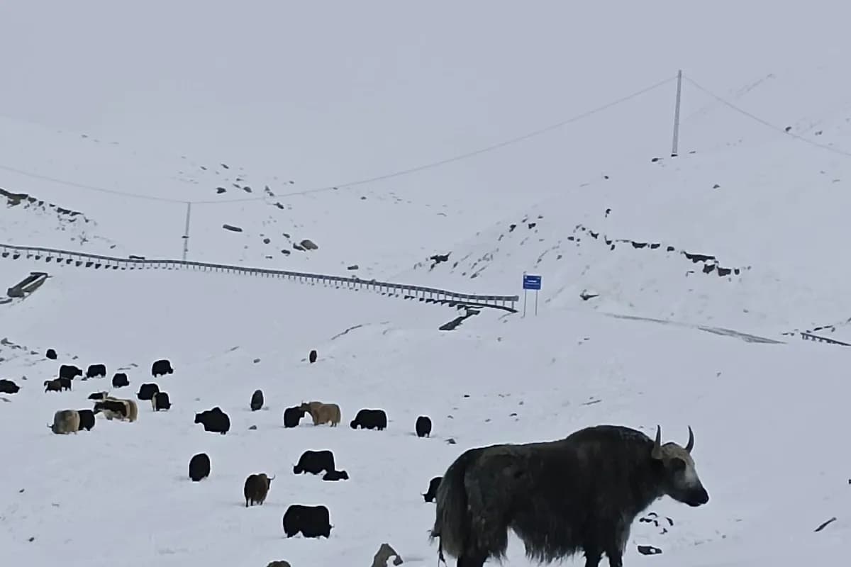 Khunjerab Pass & Border Adventure image 2