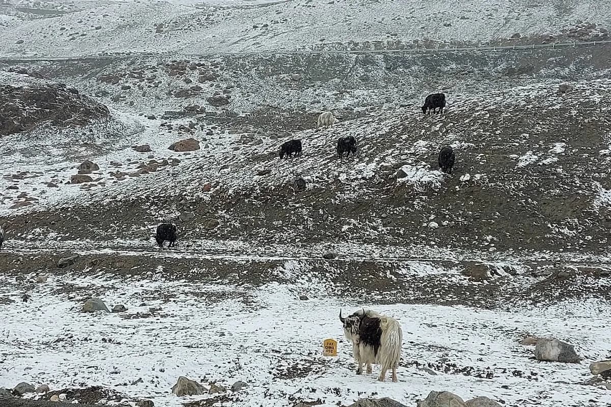 Khunjerab Pass & Border Adventure image 2