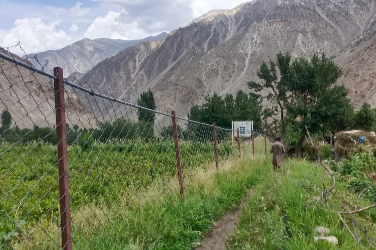 Astore Valley & Rama Meadow Escape