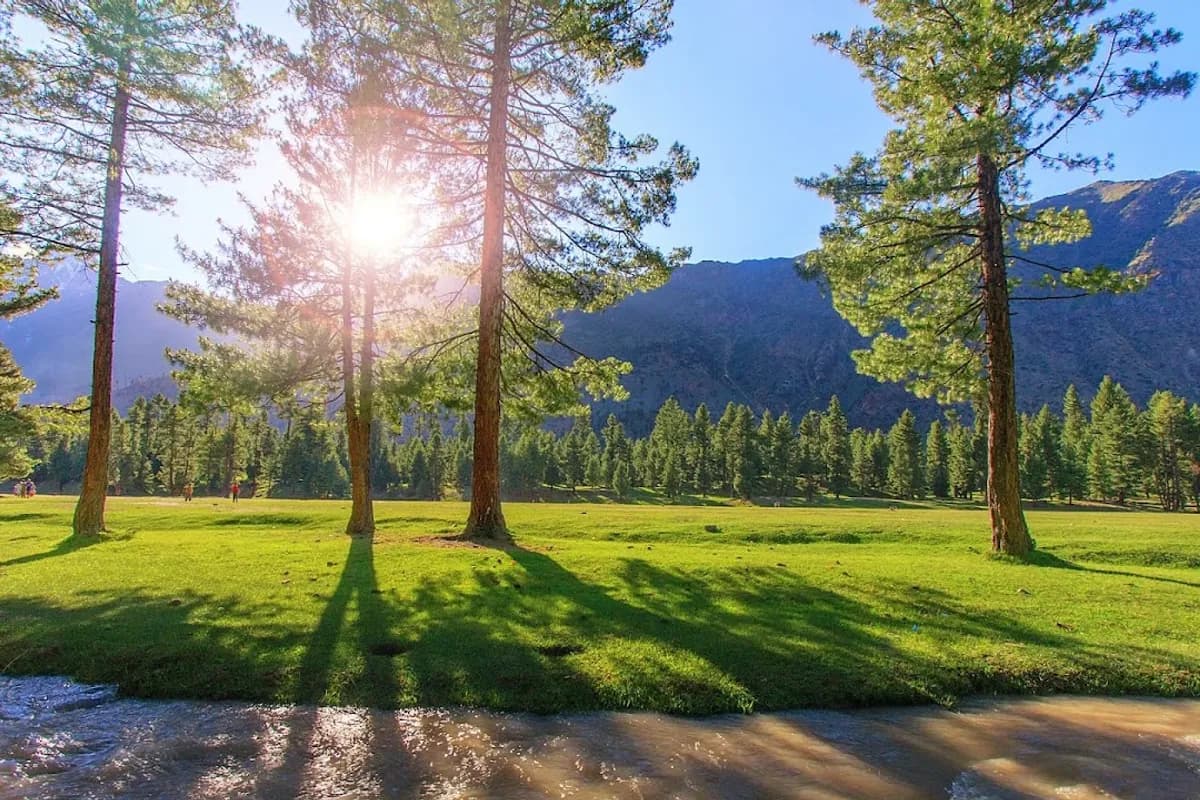 Astore Valley & Rama Meadow Escape image 2