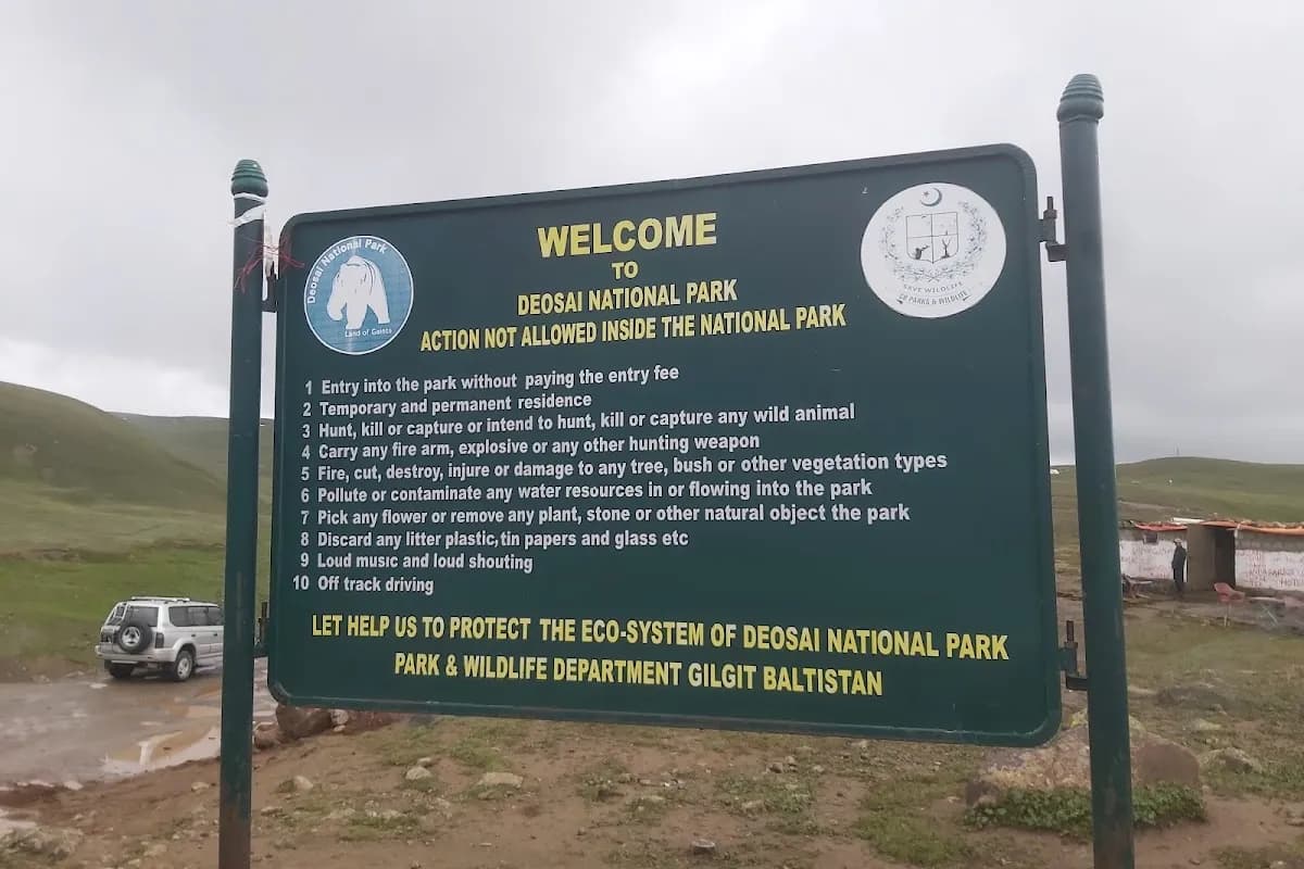 Deosai Plains & Skardu 4-Day Expedition image 2