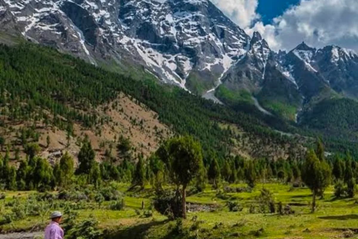Deosai National Park & Sadpara Lake Expedition image 3