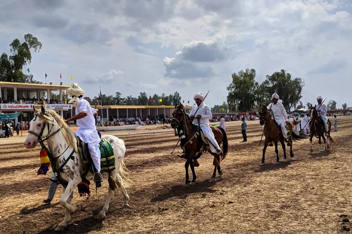 Sargodha Citrus & Heritage Safari image 1