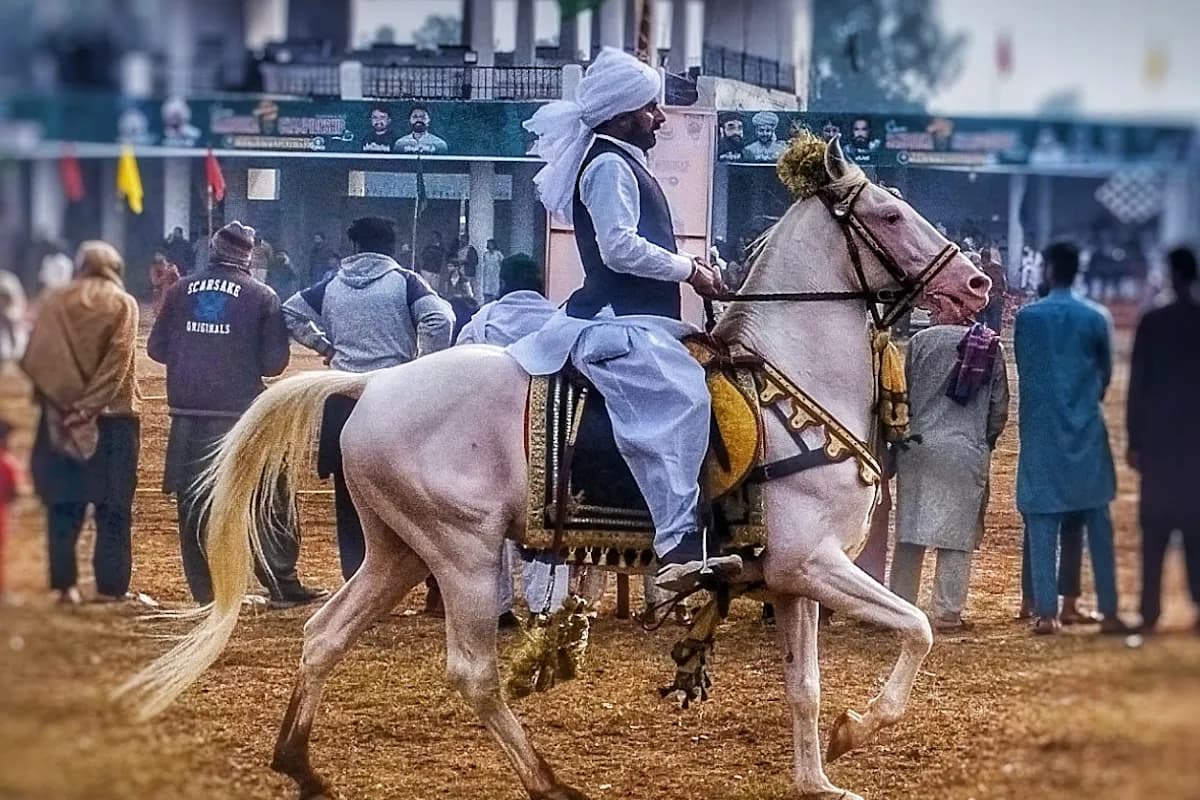 Sargodha Heritage & Nature 5-Day Exploration image 1