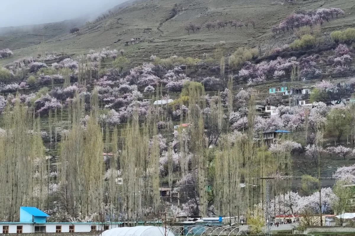 Hunza Valley 5-Day Adventure image 3