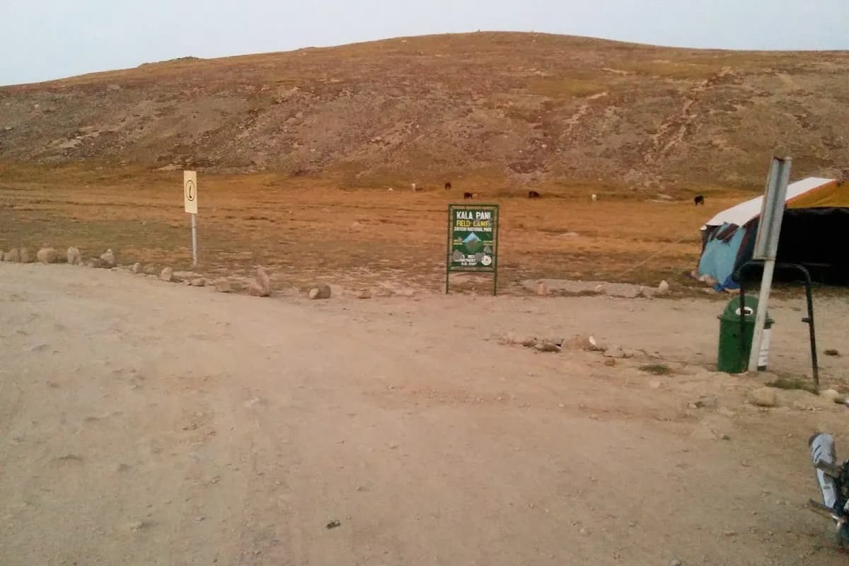 Deosai Plains Wilderness Escape image 3