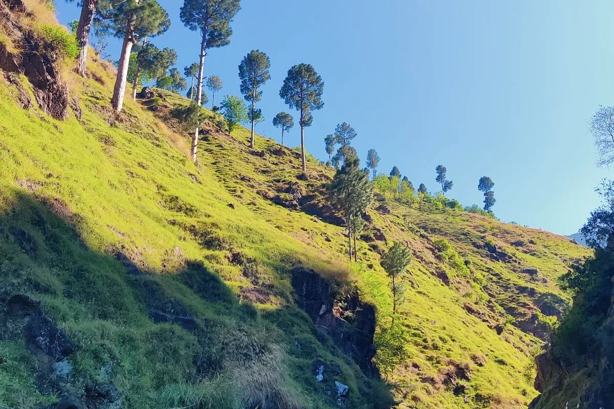 Neelum Valley 4-Day Scenic Journey image 2