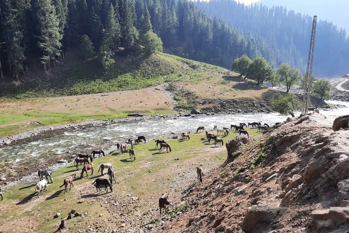 Neelum Valley 4-Day Scenic Journey image 3