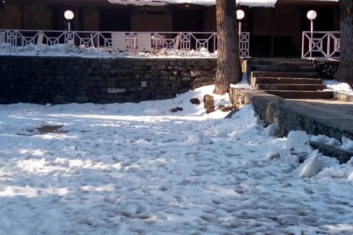 Patriata Heights Resort image 1