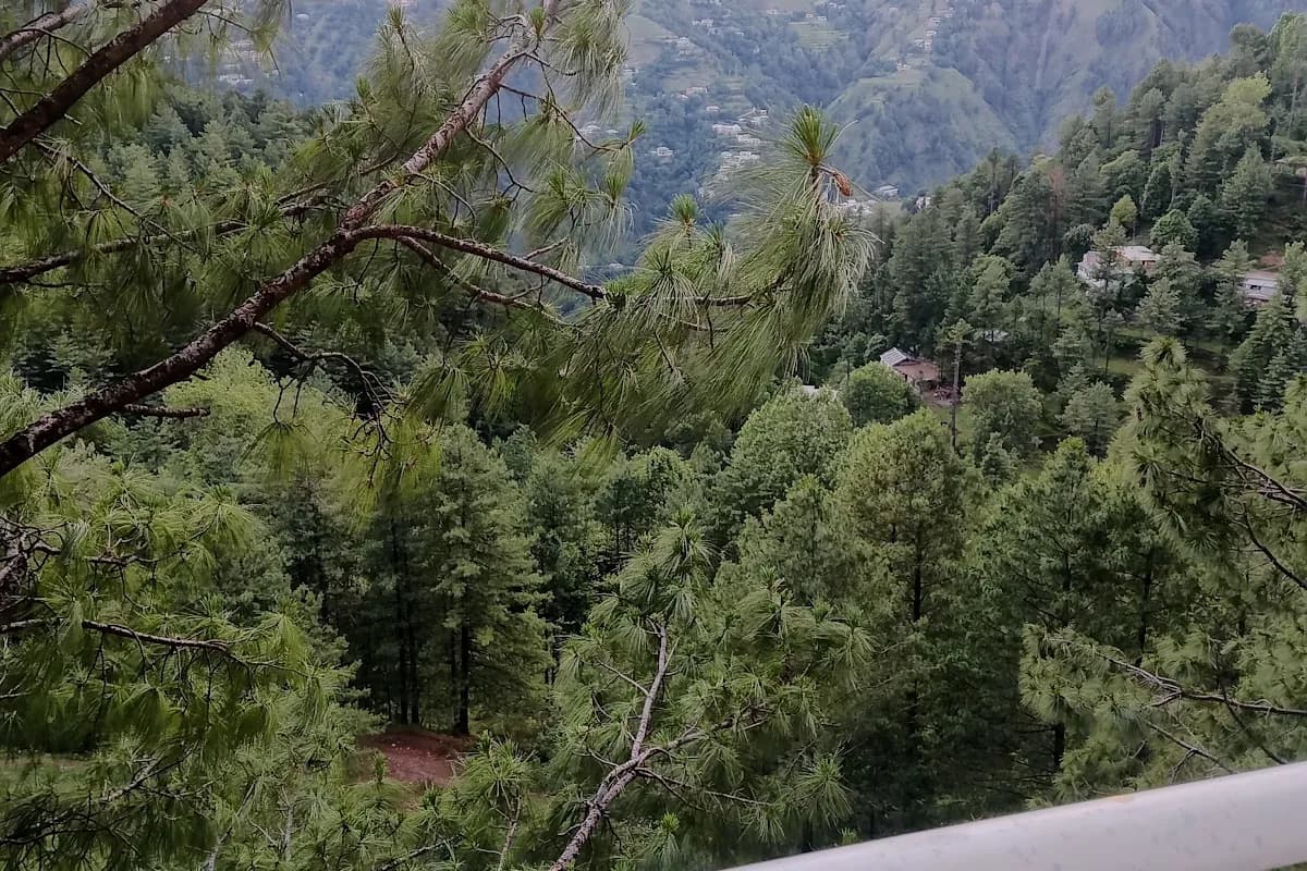 Pine Crest Hotel Nathia Gali image 2