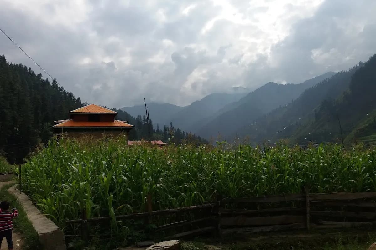Neelum Valley Highland Resort image 2