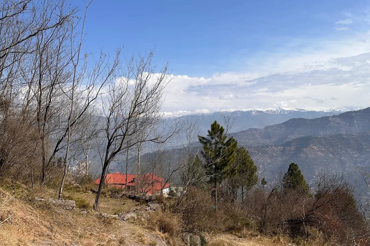 Pearl Continental Valley Resort Rawalakot image 3